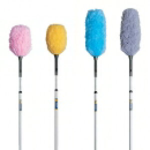 yzRz MMt[N[Lk MTCY(eg)[X ItBXr Ǝ{ ze]