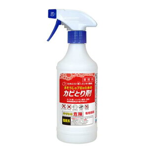 yXv[{gz̃v̂߂ JrƂܐpXv[{g 500ml[  ^C ڒn Jr]