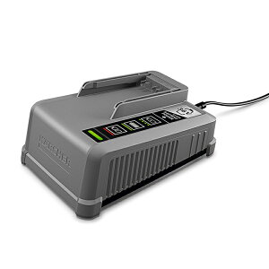�P���q���[�W���p�� �o�b�e���[�p���[�v���X�}���[�d��36/60 2.445-049.0�m36V �R�[�h���X �[�d��n