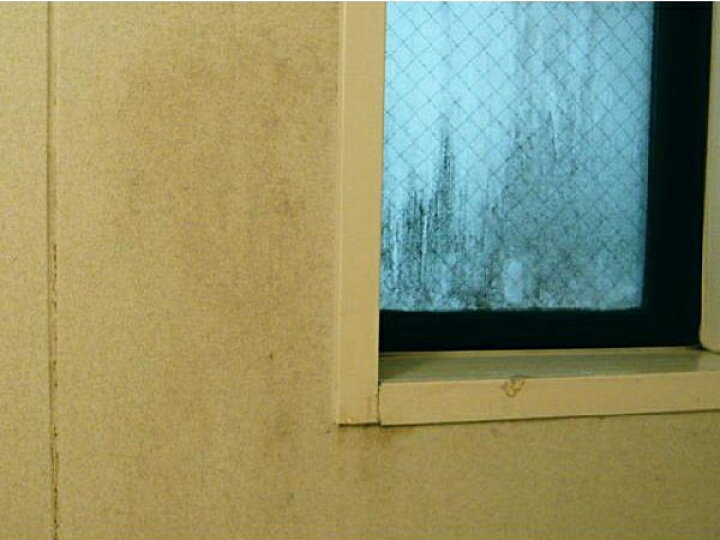 楽天市場 定形外 送料無料 業務用 カビ取り かびとりいっぱつ カビ取り一発 高所ok 密着ジェル 掃除用品 浴室 お風呂 カビ取り ゴムパッキン 目地 壁 カビ取りジェル119 かび取り お風呂用洗剤 お風呂掃除 防カビ機能あり カビとりジェル0g お掃除プロ愛用 お勧め カビ