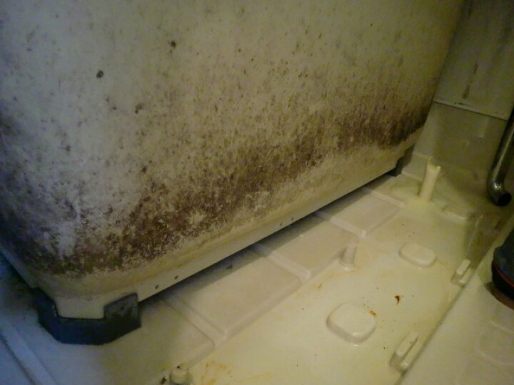 楽天市場 業務用カビ取り剤 大容量4l 洗剤 浴室 風呂 壁紙 壁クロス カビ取り 強力 ぬめりとり バス お風呂用洗剤 浴槽洗剤 お風呂掃除 カビキラー カビハイターより低臭で安全 カビとり カビ取り一発 かびとりいっぱつ プロ仕様 液体カビ取り洗浄剤4l お掃除プロ愛用 お