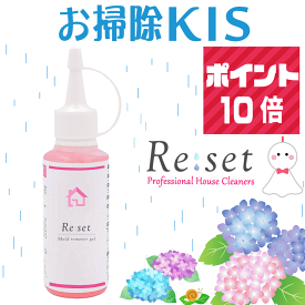 梅雨対策！高評価4.6 累計4万本突破! ポイント10倍 Re:set 送料無料 カビ取りジェル 超高濃度 密着 ジェル カビ取り剤 かびとりいっぱつ カビ取り一発 プロ仕様 業務用 強力 浴室 お風呂 浴槽 ゴムパッキン 壁紙 目地 窓 掃除 洗剤 カビキラー カビハイターで落ちないカビに