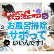 浴室クリーニング(お風呂掃除)1日の疲れを癒すバスタイムは清潔なお風呂で！水垢や石鹸カス、赤カビや黒…