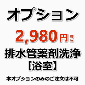 【オプション】排水管薬剤洗浄（浴室：1箇所）（出張施工）