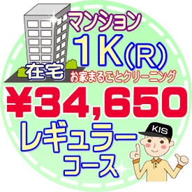 【お掃除Kis】【大阪・兵庫・京都にお住まいの方必見！】1K（1R）の「在宅」♪マンション／レギュラーコース（出張施工）【延べ床面積：〜30平米】