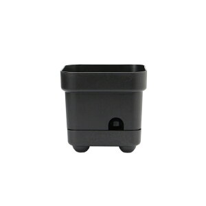 HERE by DETAIL (qA oC fBe[) Bottom Watering Pot {g EH[^O |bg ||bg Aؔ ϗtA   A ꕨ vX`bN XNGA lp |bg IV 