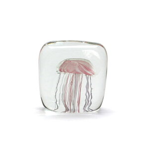 HERE by DETAIL (qA oC fBe[) Jellyfish Twisted Leg NQ IuWF _ CeA u  IV   nEX rO fXN  y[p[EFCg KX   