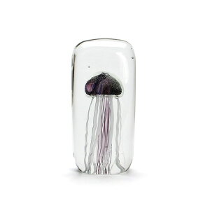 HERE by DETAIL (qA oC fBe[) Jellyfish Twisted Leg NQ IuWF _ CeA u  IV   nEX rO fXN  y[p[EFCg KX   
