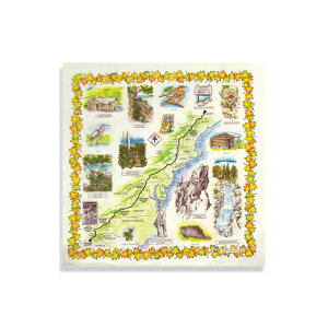 The Printed Image (U vebh C[W) Bandanas made in usa o_i AJ USA Y fB[X  AJW  킢  IV 100 Rbg 100 o_i  Op 