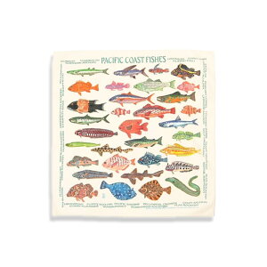 The Printed Image (U vebh C[W) Bandanas made in usa o_i AJ USA Y fB[X  AJW  킢  IV 100 Rbg 100 o_i  Op 