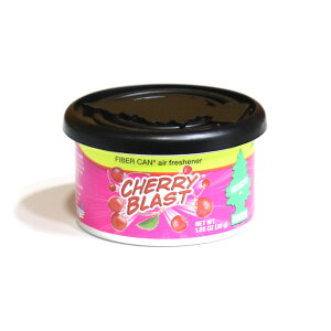yKAiz Little Trees (gc[) GA[tbVi[ Fiber Can t@Co[ gc[  F u^  A AJ   ubN ACX RRibc ɂ 