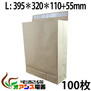 z 100 yLTCYz (395*320*110) (120g/)   e[vt  p p  Ɩp Ntg X֑ bsO ۗXւ̕   [ z֎