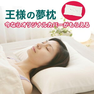 頭痛 枕 通販 価格比較 価格 Com