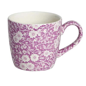 o[C pH@Burleigh@ubTLR@IY{[}O 350ml@/Burleigh/p//ԕ//i