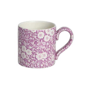 o[C pH@Burleigh@ubTLR@}OJbv 284ml @/Burleigh/p//ԕ//i