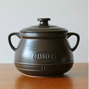 { XyCy CALDERA@IW @@/NbLO|bg XyC  ϔM pGA ύݗ