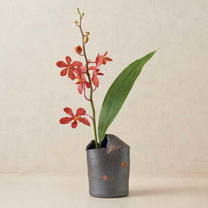 튊ā@Γ@JJ@Ԋ@{/ԕr/ԓ/Ԋ/̊ԏ/t[x[X/Ă/a/Mtg/`H|/Γv