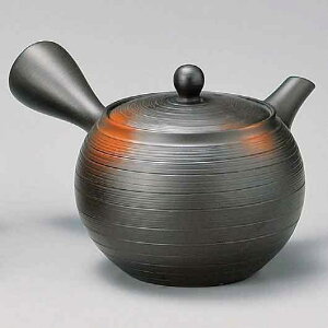 튊 |tqϏېԃ{JV̂݋}{ 220cc@///{  ʘI  