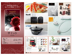 ybsOEz[3] J^OMtg 30,800~R[X T~bg SUMMIT r[ v[g j Mtg j 蕨 j Ԃ LO a  o oY @ JX 