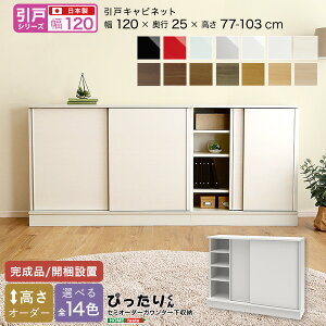 y|Cg20{Ez[˃V[Y] Z~I[_[JE^[[҂肭 Lrlbg 120cm×s25cm +sDz}XN(5)@ lC  a v[g Mt