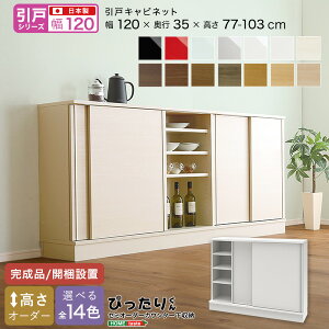 y|Cg20{Ez[˃V[Y] Z~I[_[JE^[[҂肭 Lrlbg 120cm×s35cm +sDz}XN(5)@ lC  a v[g Mt
