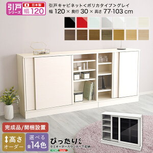y|Cg20{Ez[˃V[Y] Z~I[_[JE^[[҂肭 Lrlbg(|J^Cv OC) 120cm×s30cm +sDz}XN(5)@ lC  