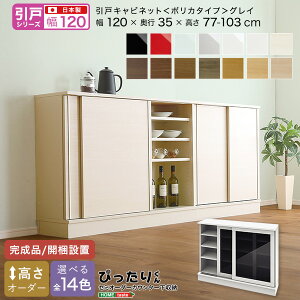 y|Cg20{Ez[˃V[Y] Z~I[_[JE^[[҂肭 Lrlbg(|J^Cv OC) 120cm×s35cm +sDz}XN(5)@ lC  