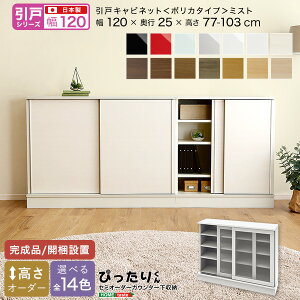y|Cg20{Ez[˃V[Y] Z~I[_[JE^[[҂肭 Lrlbg(|J^Cv ~Xg) 120cm×s25cm +sDz}XN(5)@ lC  