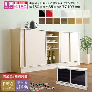 y|Cg20{Ez[˃V[Y] Z~I[_[JE^[[҂肭 Lrlbg(|J^Cv OC) 160cm×s35cm +sDz}XN(5)@ lC  