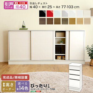 y|Cg20{Ez[˃V[Y] Z~I[_[JE^[[҂肭 o`FXg s25cm +sDz}XN(5)@ lC  a v[g Mtg 