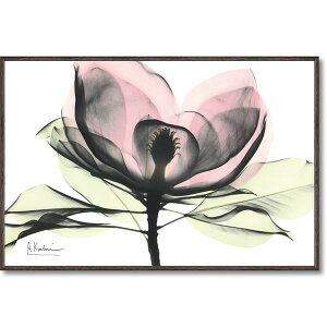 yz[p[ X-RAYLoXA[g usN}OmA v(STCY)@ lC   i  a v[g Mtg z V zCgf[