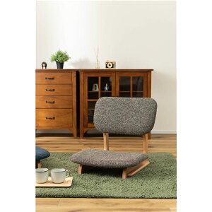 y߁ElCztA`FA ֎q 50×s56×52×ʍ12cm uE VR r[` rO CeAƋ i|  i