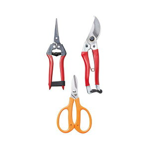 yzV_ K[fjO3_Zbg K20563119@ lC   i  a v[g Mtg z V zCgf[