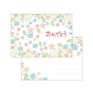 y߁ElCzi܂Ƃ߁jNT jJ[h ʁi×5Zbgj|  i