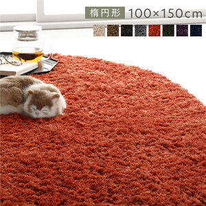 y߁ElCzO}bg O~ R100×150cm ȉ~` IW 􂦂 @Ή ~ߕt y ^ѕ֗ zbgJ[ybgΉ I[V[YΉ ܂肽ݎ[ VM[