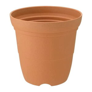 y߁ElCzy3Zbgz b`F Ђ nC|bg 6 uE|  i