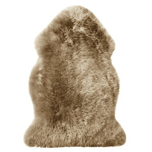 y߁ElCz[gO 55×80cm 1CTCY uEysz|  i