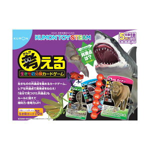 y߁ElCzo l鐶̕ރJ[hQ[ TS-10 1|  i