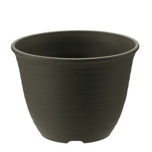 y߁ElCz[3Zbg] b`F GR |bg 10 _[NO[@  i  a v[g Mtg z V zCgf[