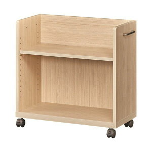 y߁ElCzA_[fXNSOF2-6060P NA ygiz|  i