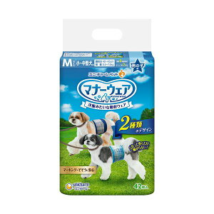 y߁ElCzjE`[ }i[EFA j̎qp M `FbNE`FbN 1pbNi42j|  i