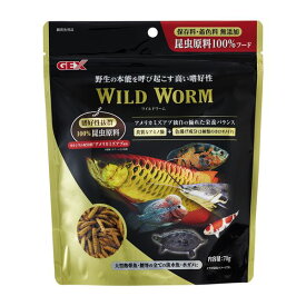 【おすすめ・人気】（まとめ）ワイルドワーム 70g 熱帯魚用フード 【×3セット】|安い 激安 格安