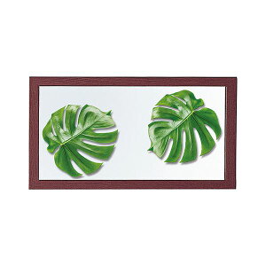 yzXet[L(uE) K20659928@ lC   i  a v[g Mtg z V zCgf[