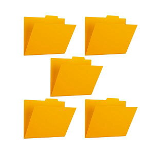 yz(܂Ƃ) vX PPʃtH_[+ A4CG[ FL-161IF 1pbN(5) [×5Zbg]@ lC   i  a v[g Mtg z V zCgf[