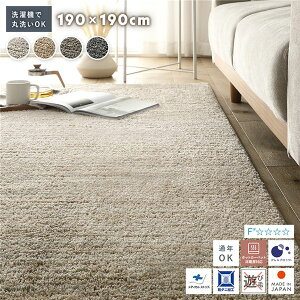 y߁ElCz~bNXpC O 190×190cm x[W 􂦂 EHbVu { Y y y h_j h AubN Vііh~ I[V[Y ʔN g[ zbgJ