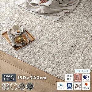 y߁ElCz~bNXpC O 190×240cm AC{[ 􂦂 EHbVu { Y y y h_j h AubN Vііh~ I[V[Y ʔN g[ zbg