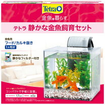 楽天市場】激安（熱帯魚・アクアリウム｜ペット・ペットグッズ）の通販