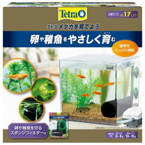 楽天市場】激安（熱帯魚・アクアリウム｜ペット・ペットグッズ）の通販