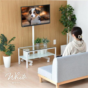 �y�������߁E�l�C�z�L���X�^�[�t���e���r�X�^���h �y�z���C�g�z �g���i�y����s�z|���� ���� �i��