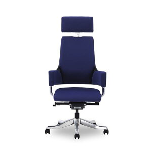 y߁ElCzItBX`FA 65.5cm nCobN lCr[u[ LX^[t It DELPHIII t@ubN CeAƋ giysz|  i